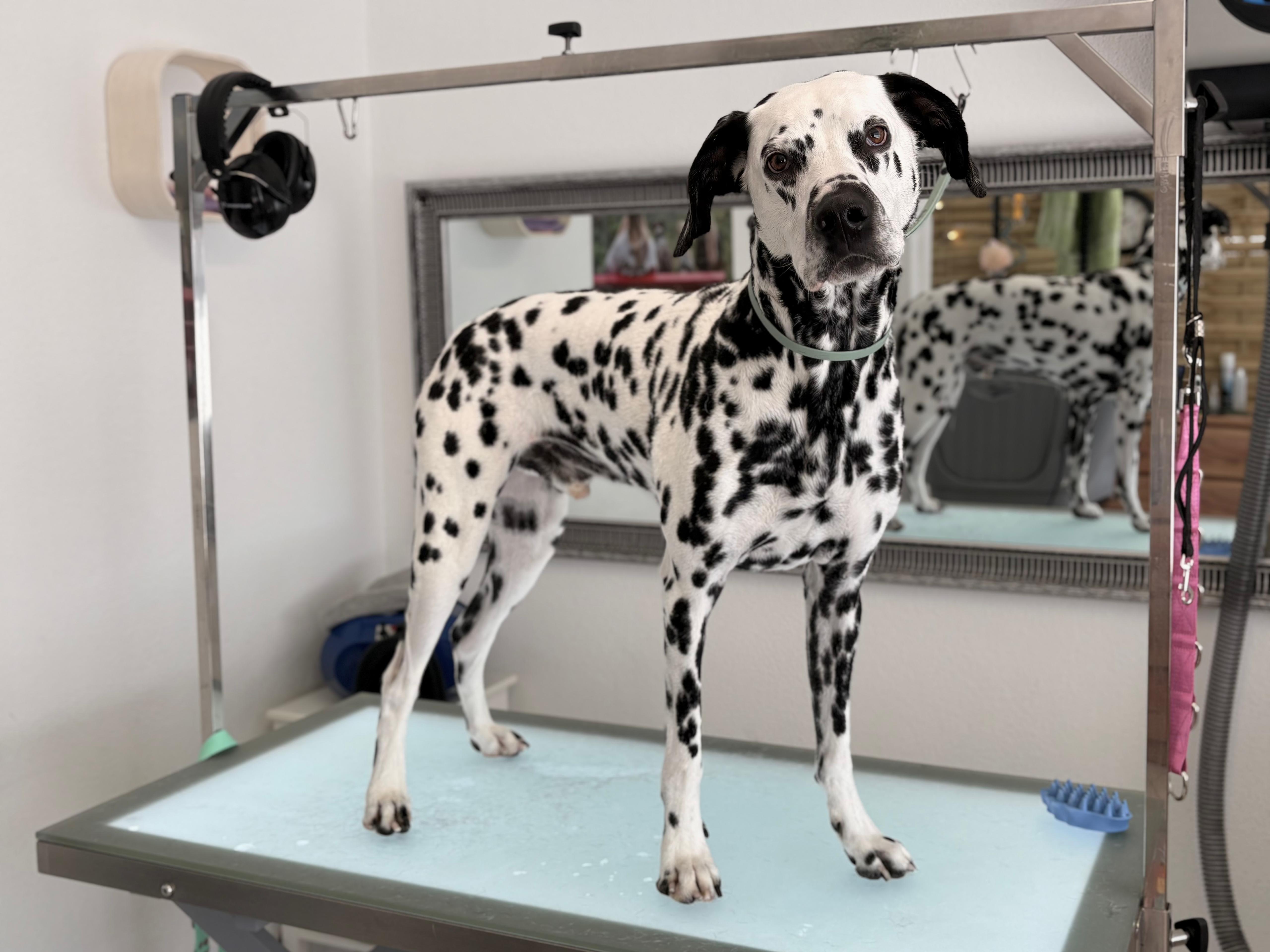 Filip während der Pflege