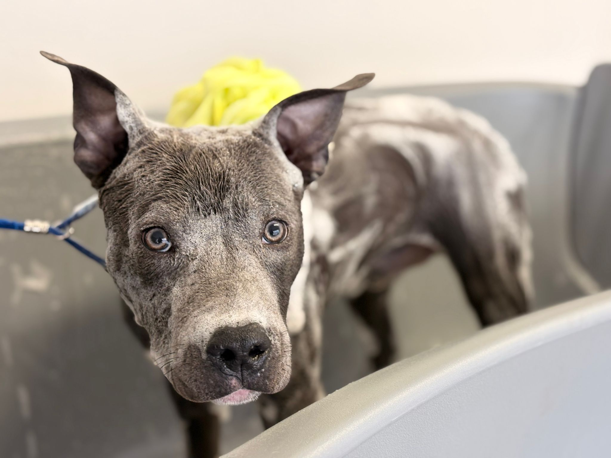 Ares sein erster Besuch mit 7 Monaten