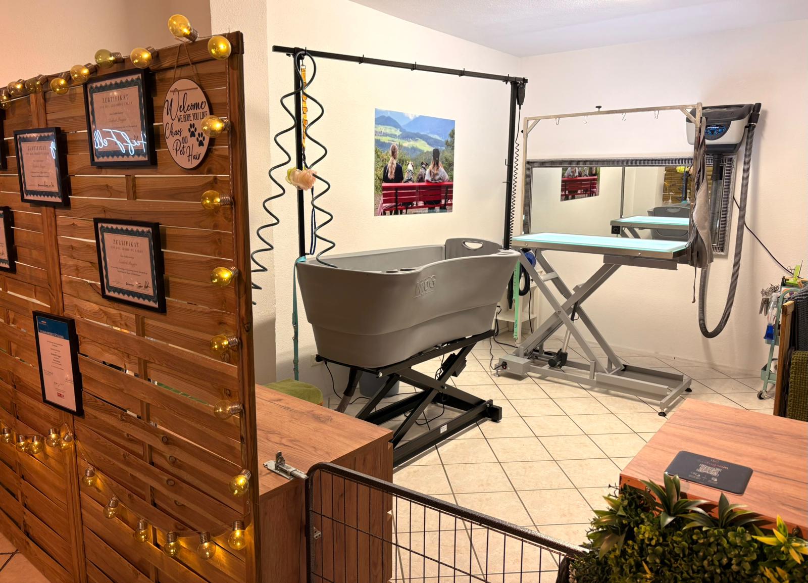 Arbeitsplatz im Hundesalon