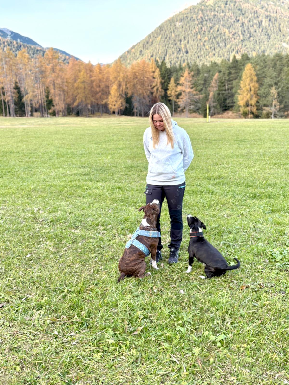 Freizeit mit meinen Hunden